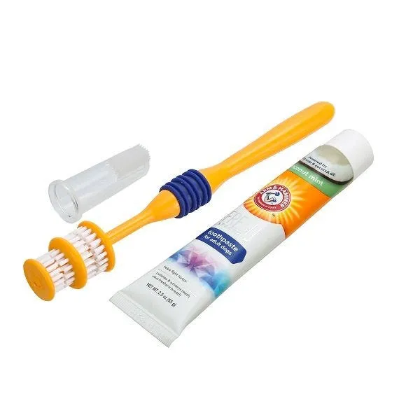 Arm & Hammer Fresh Spectrum Adult Dog 360° Clean Dental Kit