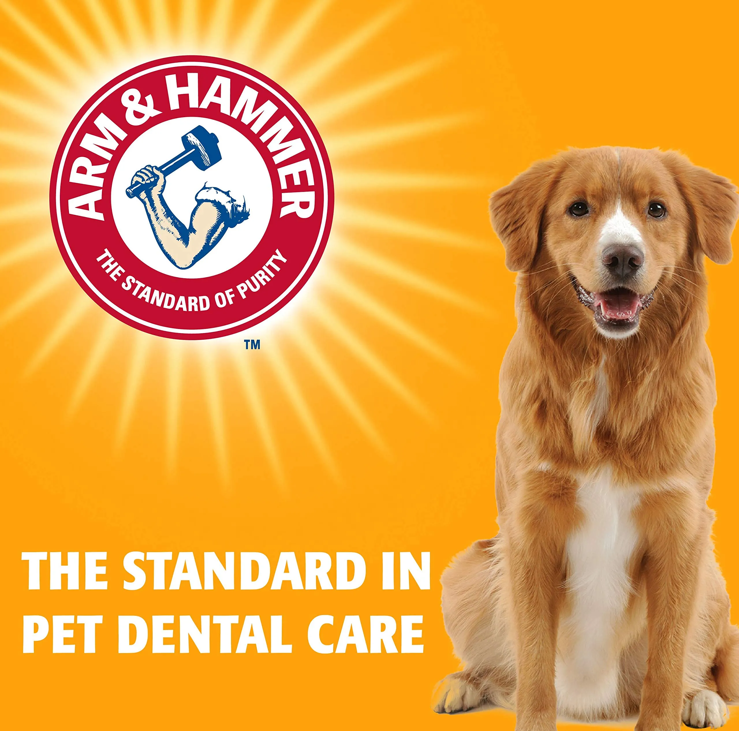 Arm & Hammer Toothpaste for Dogs