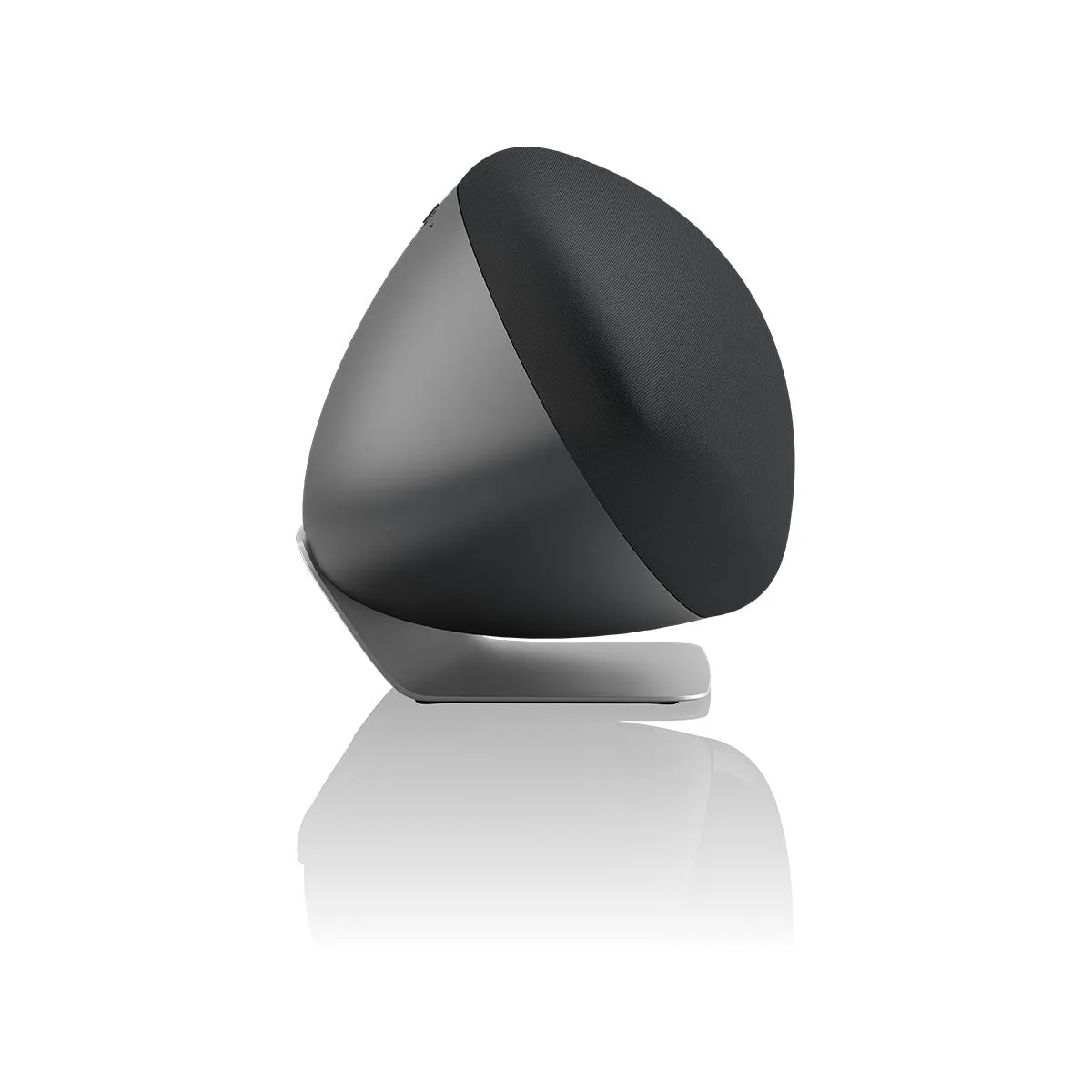 Bowers & Wilkins Zeppelin Pro Edition Wireless Speaker