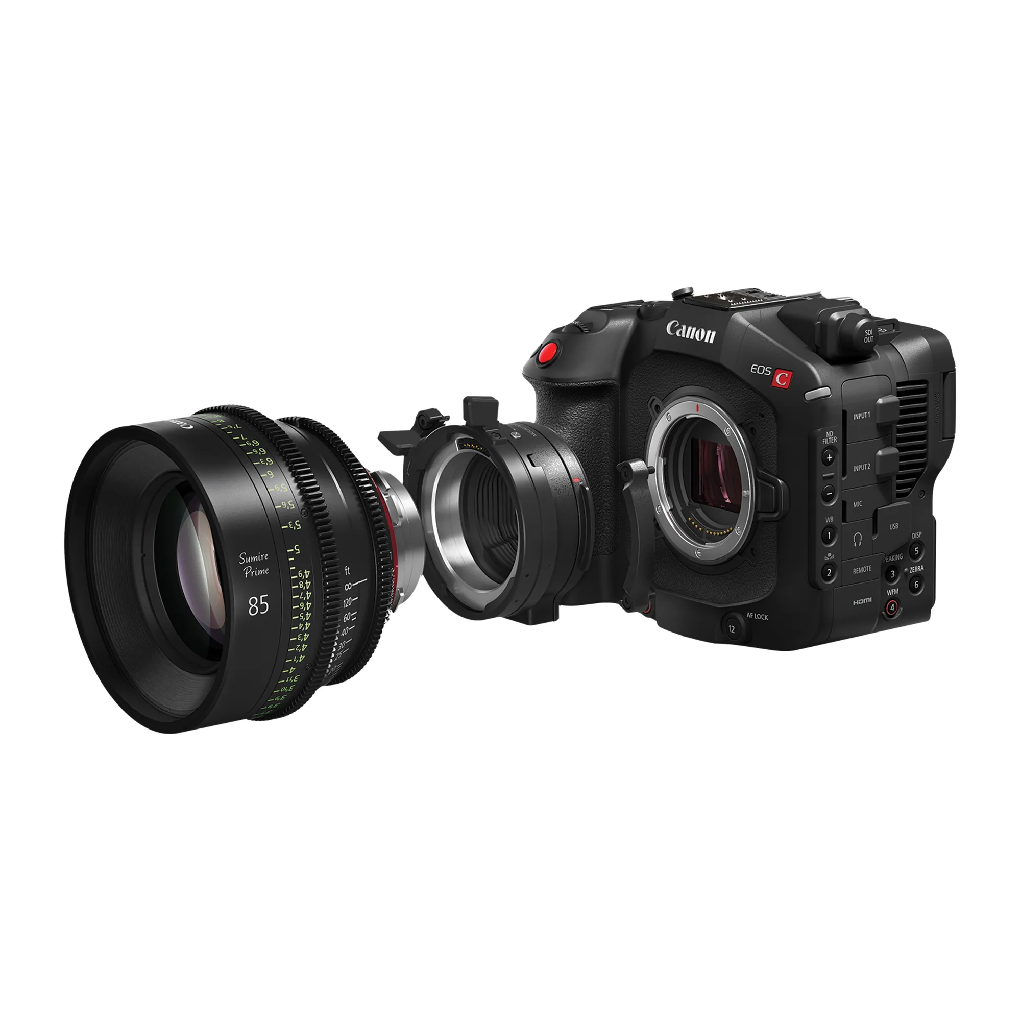 Canon EOS C80 6K Full-Frame Cinema Camera - RF Mount