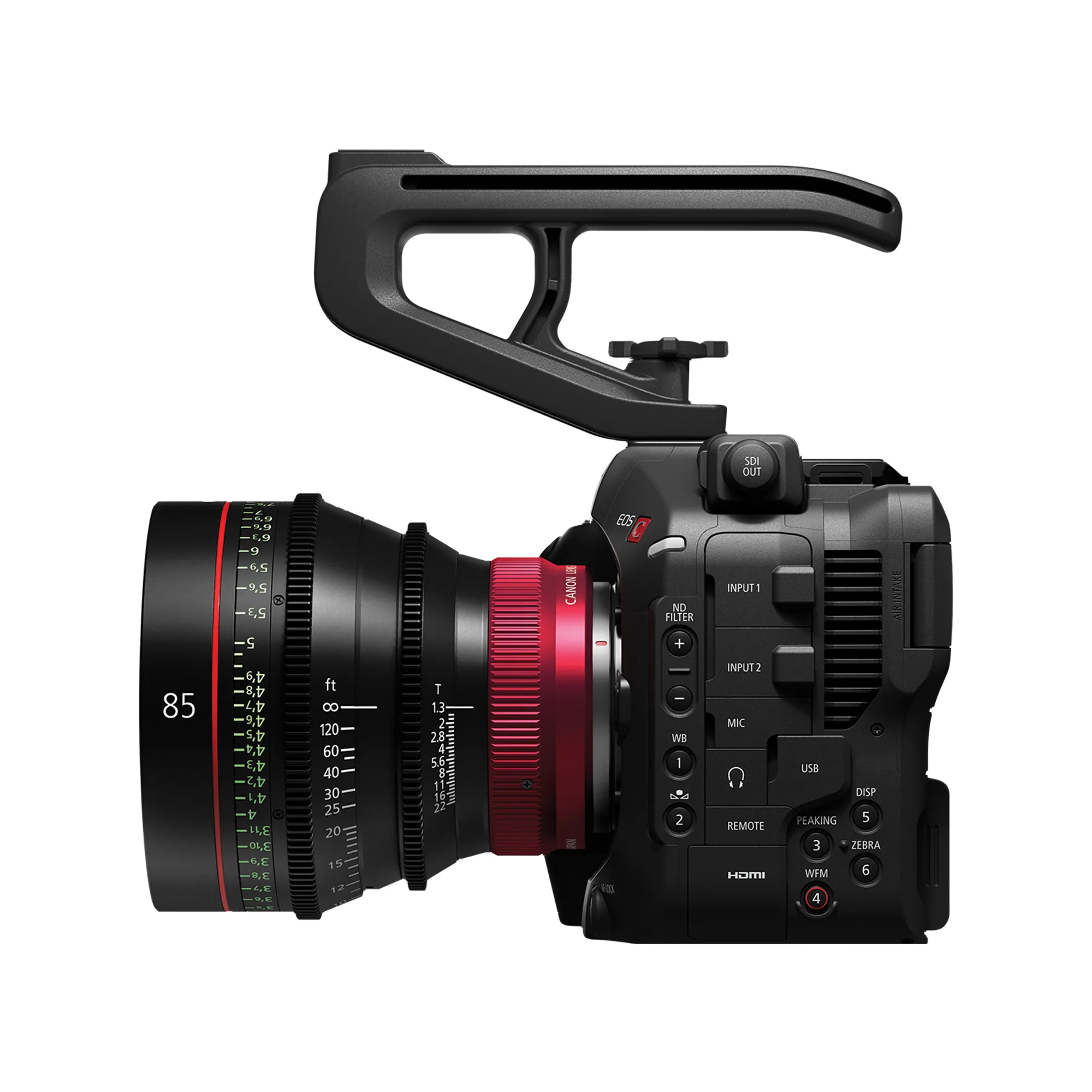 Canon EOS C80 6K Full-Frame Cinema Camera - RF Mount