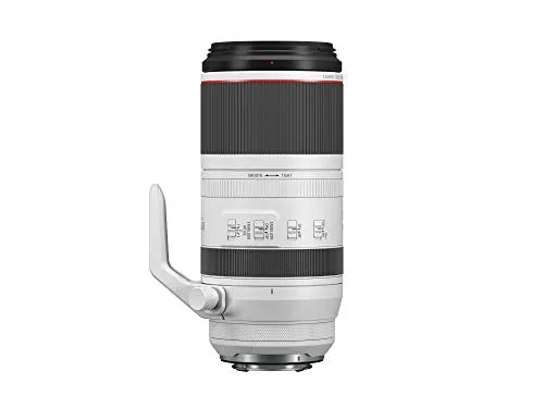 Canon RF 100-500mm f/4.5-7.1 L IS USM Lens