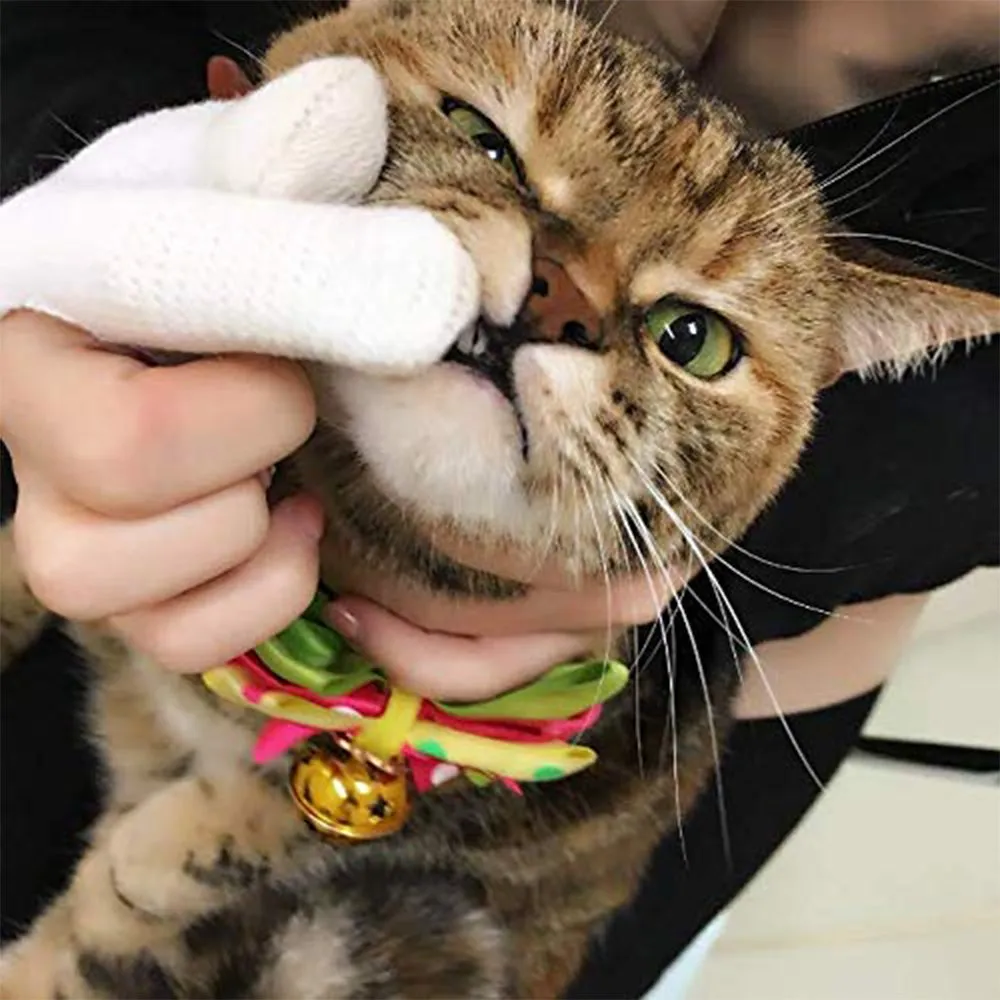 Care Finger Toothbrush for Cats