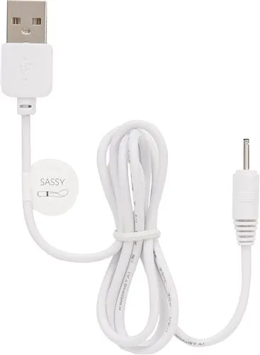 Charger for Pillow Talk Sassy