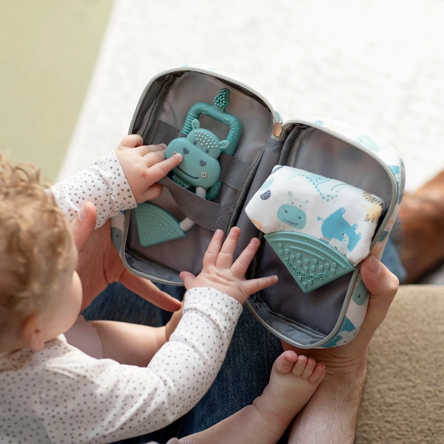 Cheeky Chompers Teething Survival Kit