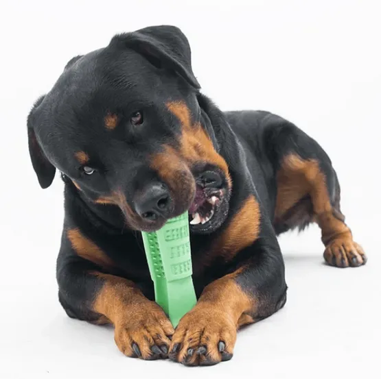 DOG Teeth Cleaning Stick