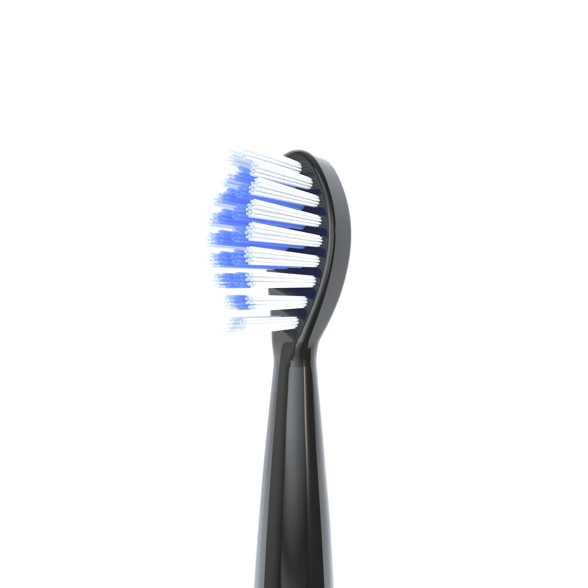 ELECTRIC TOOTHBRUSH HEAD