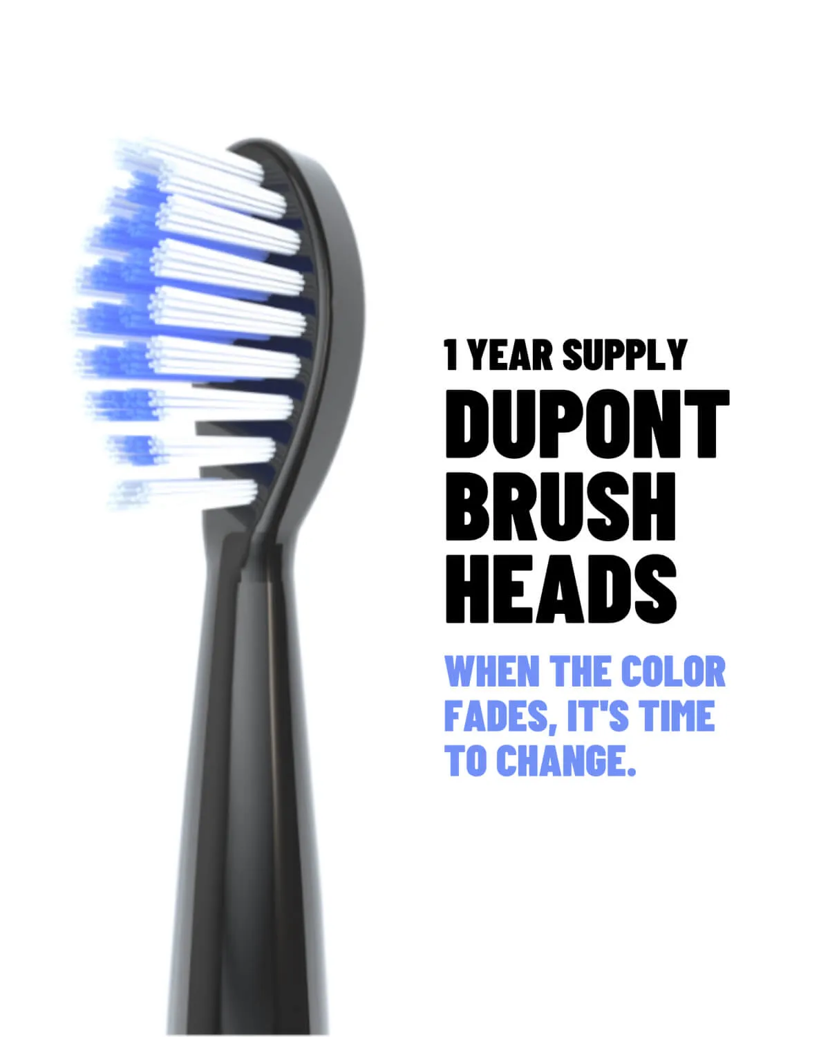 ELECTRIC TOOTHBRUSH HEAD