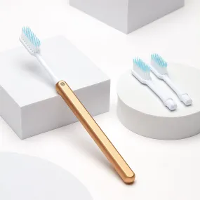 Gold Toothbrush   2 brush heads