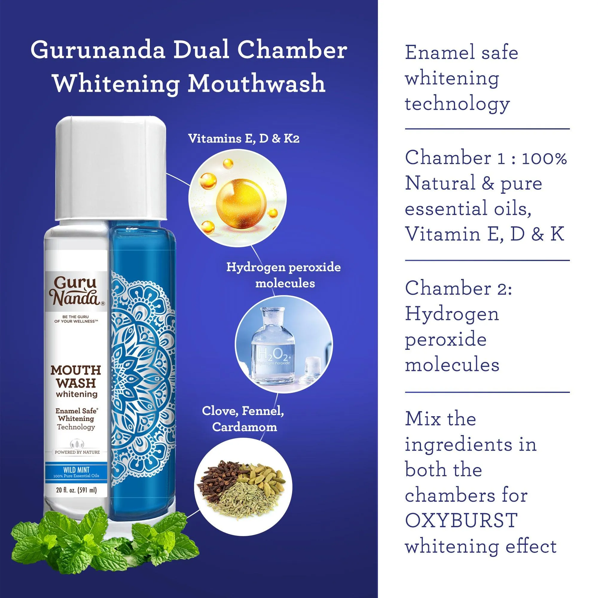 GuruNanda Razzle Dazzle Whitening Kit