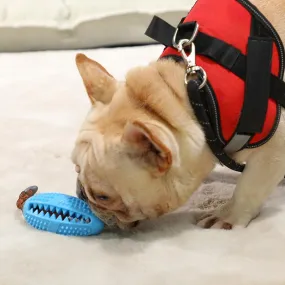 Lifesparking™DOG TOOTHBRUSH TOY