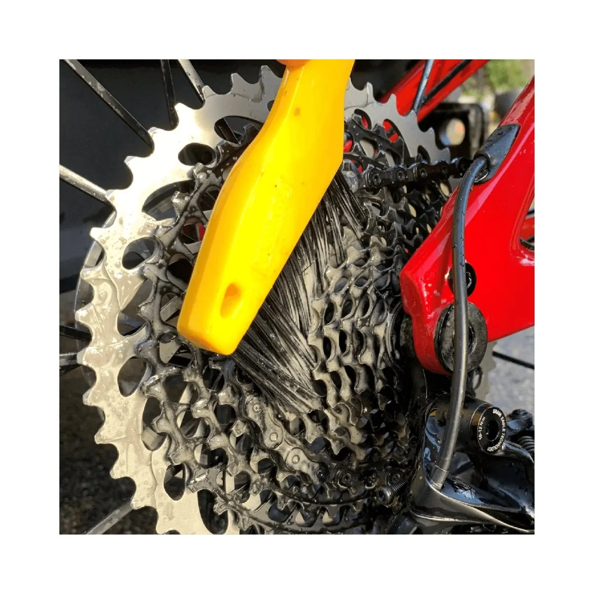 Pedros Toothbrush Drivetrain Cleaning Brush