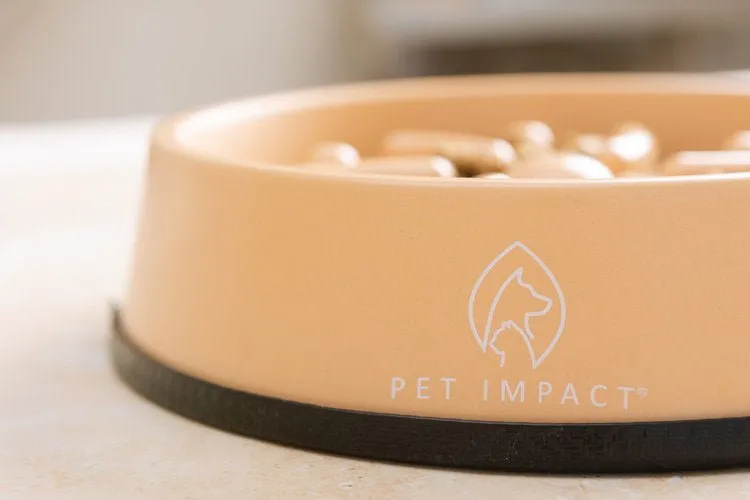 Pet Impact Slow Feeder Bamboo Bowl