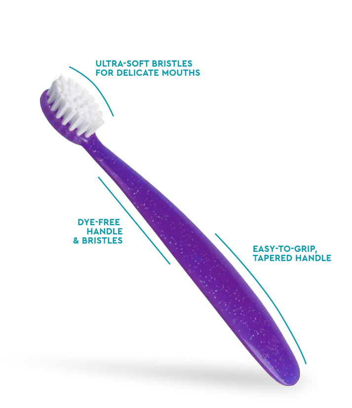 Radius Totz Toothbrush (Purple)