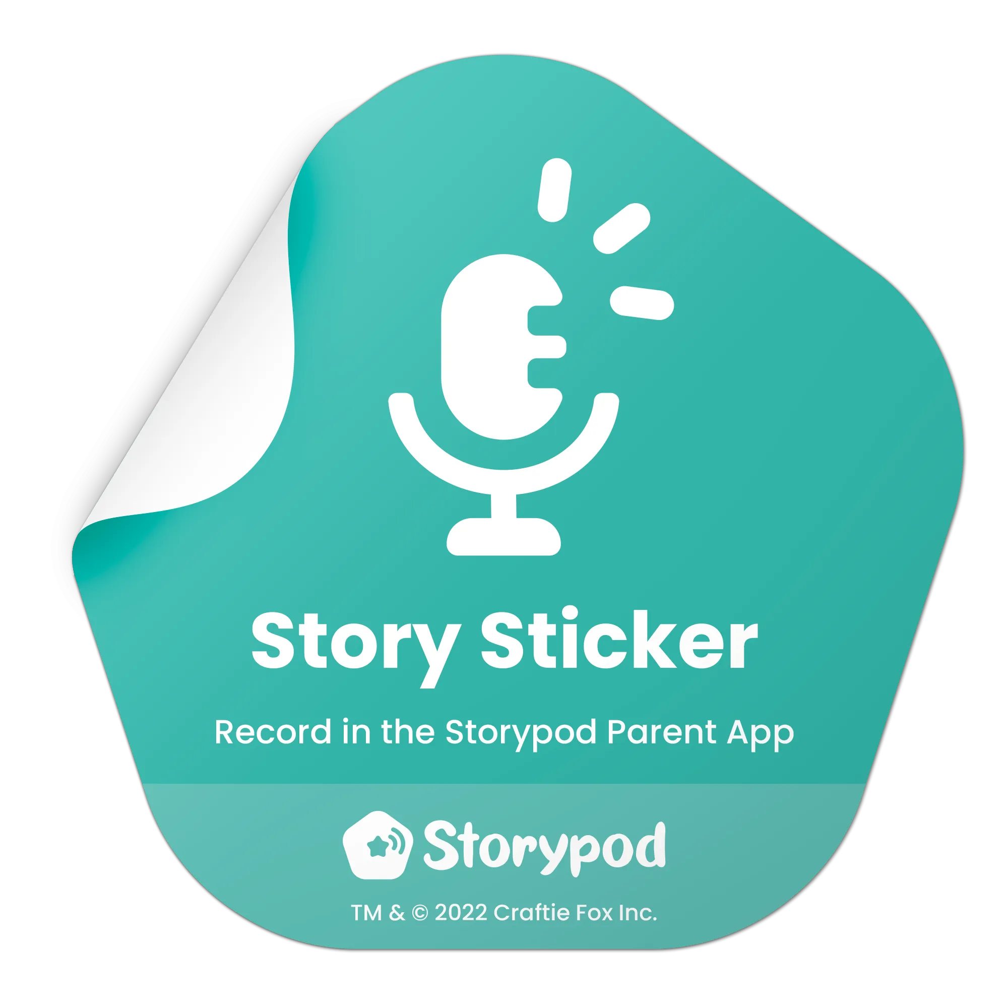 Recordable Story Stickers 3 Pack