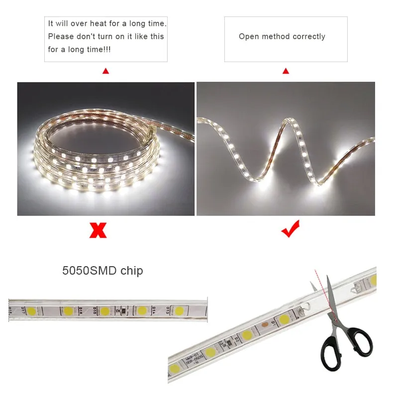 SMD 5050 AC220V LED Strip Flexible Light 60leds/m Waterproof Led Tape LED Light With Power Plug 1M/2M/3M/5M/6M/8M/9M/10M/15M/20M