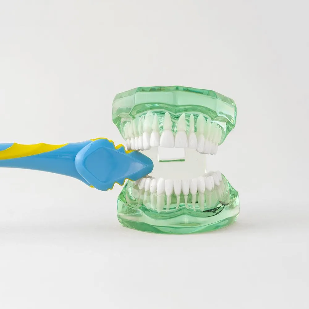 Special Needs 3-sided Toothbrush Set