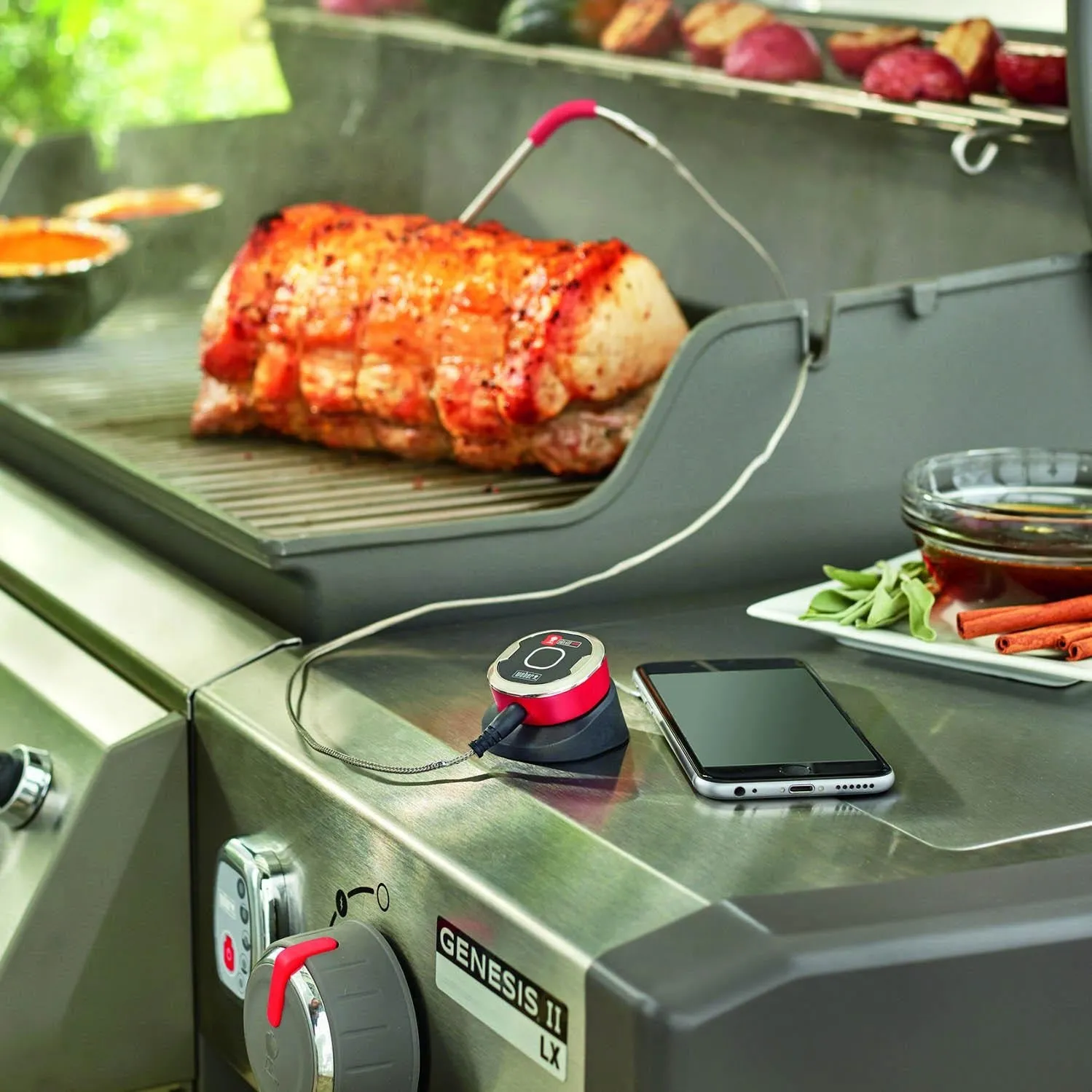 Weber:  Weber Igrill Mini - Iot